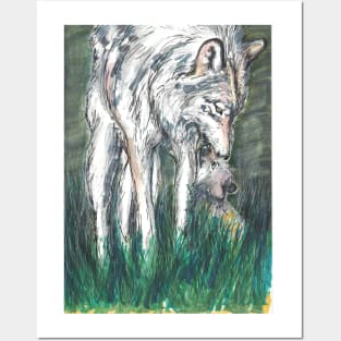 a wolf and a cub Posters and Art